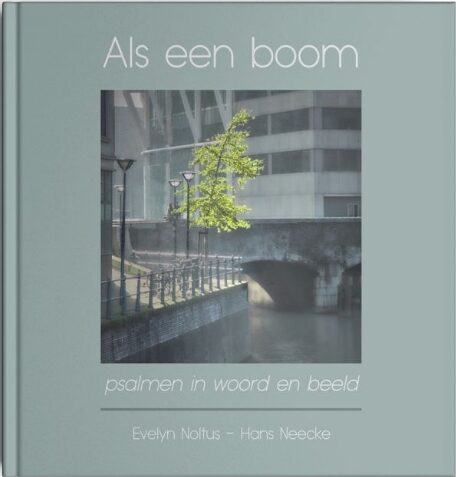 Boek Als een boom voorkant