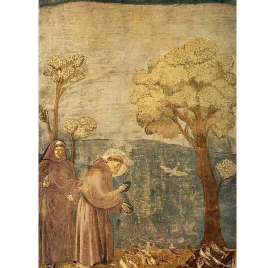 Franciscus van Asisi