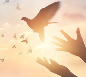 Memoriam sample e1657182460551 300x267