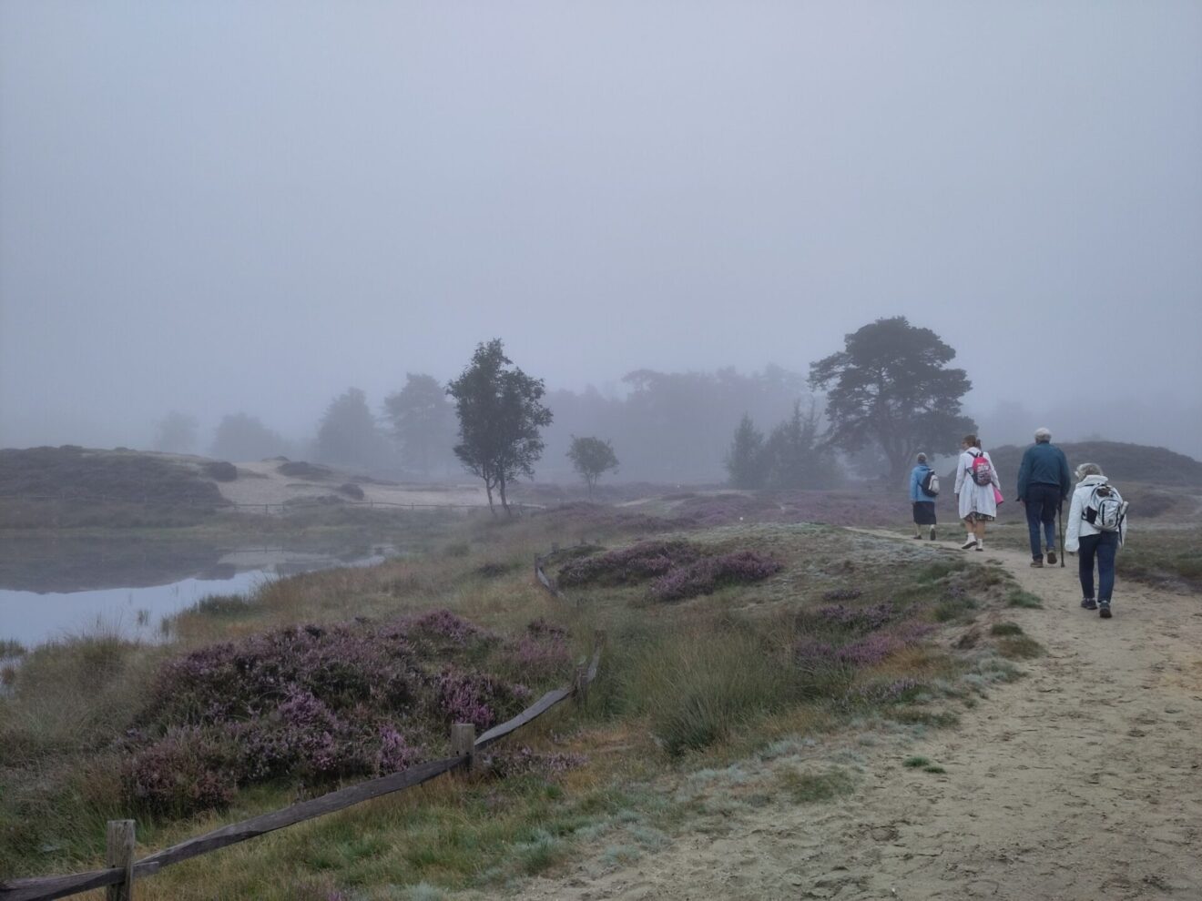 Wandeling scheppingsperiode