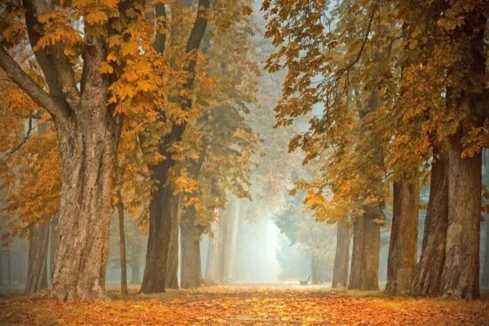 herfst