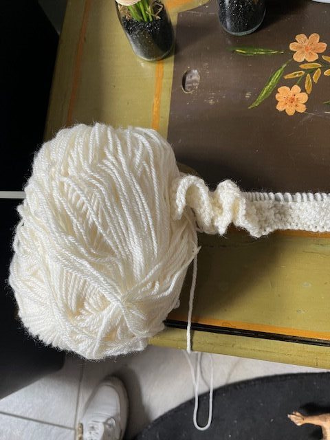 nieuwsbrief wol IMG 7062