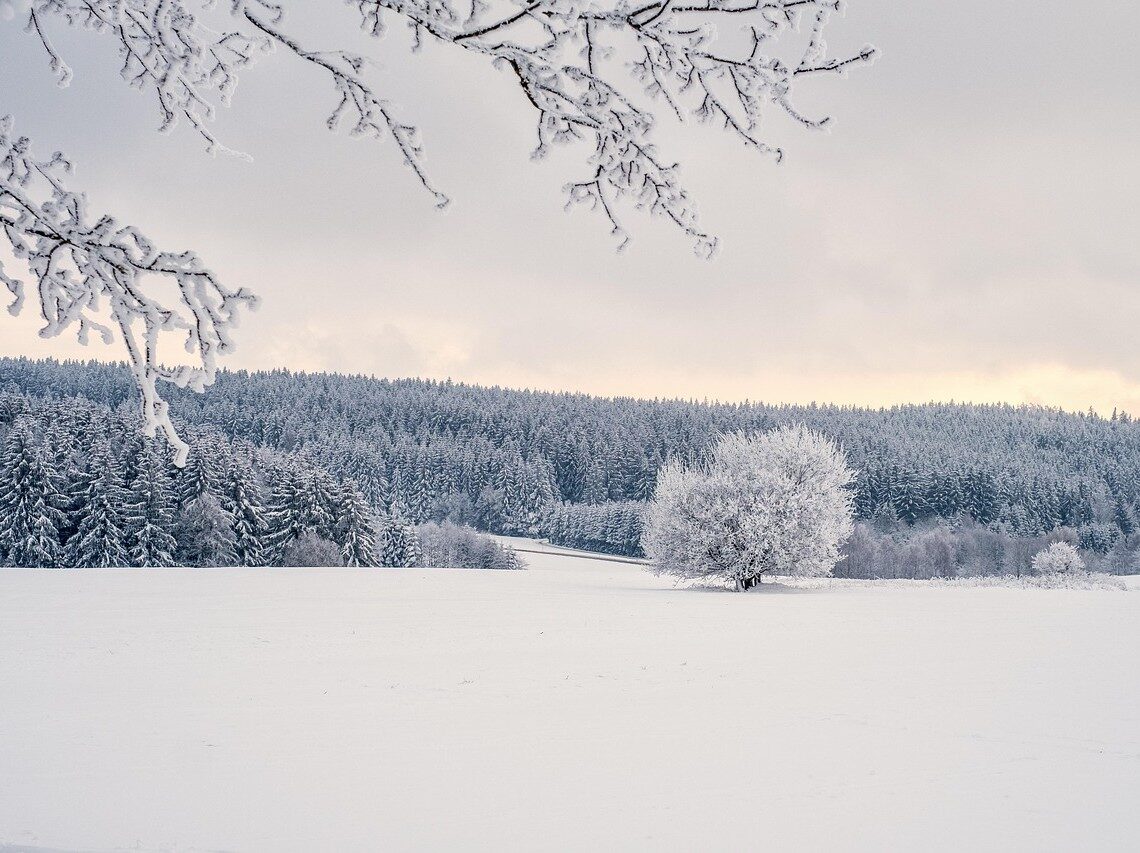 winter sneeuw